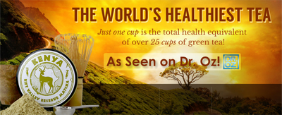 Kenya Rift Vally Reserve White Matcha Tea - TeamANR
