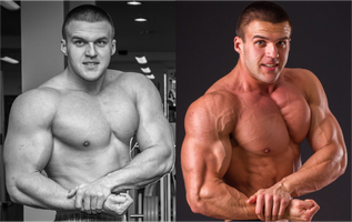 Monster Muscle-Building Stack - TeamANR