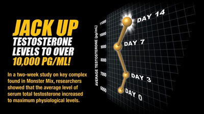 Monster Mix All-In-One Lean Muscle Protein Shake - TeamANR